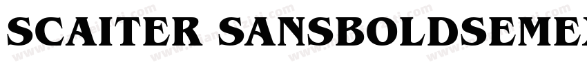 SCAITER SANSBOLDSEMEXPSLANTED字体转换